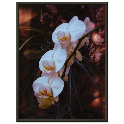 b91f0f79-64cc-4a33-be06-92f175c632ab