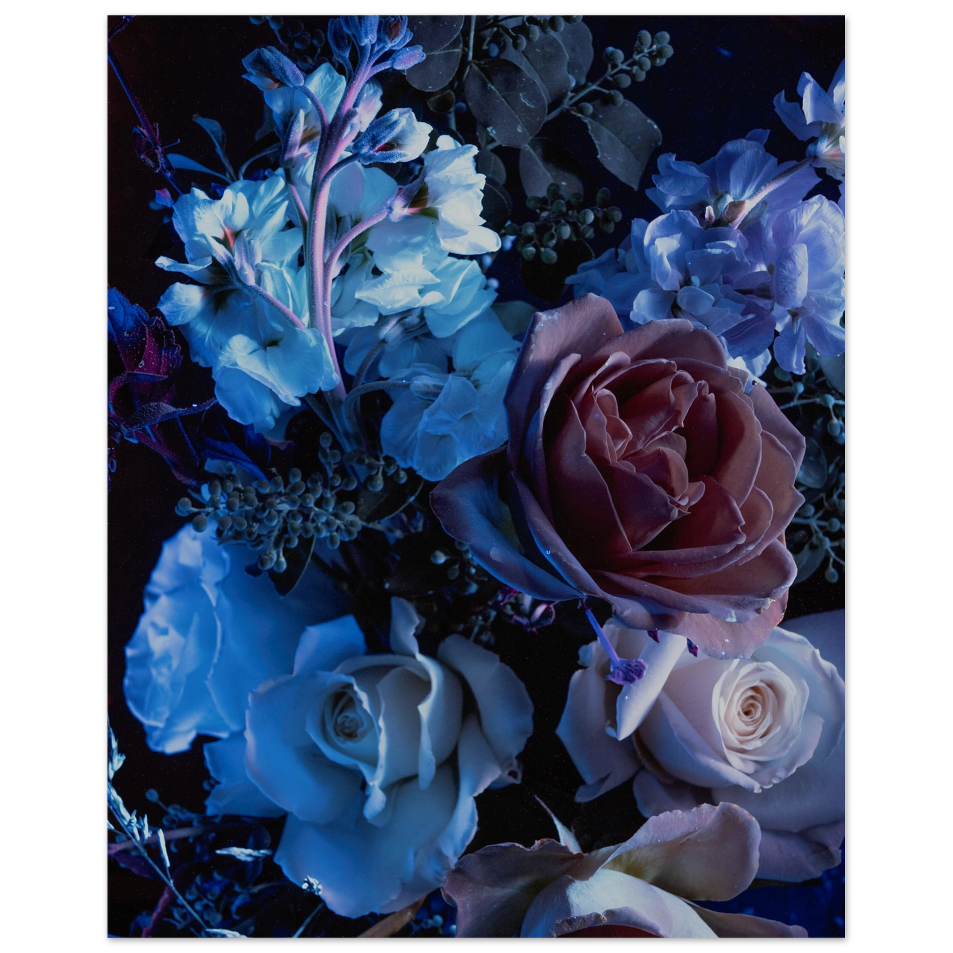 b9712b0f-3cfb-44fb-bd61-80f15ab4ab21