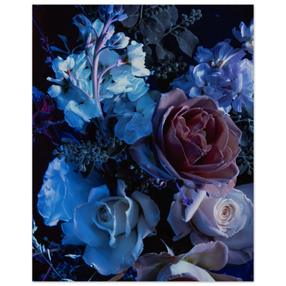 b9712b0f-3cfb-44fb-bd61-80f15ab4ab21