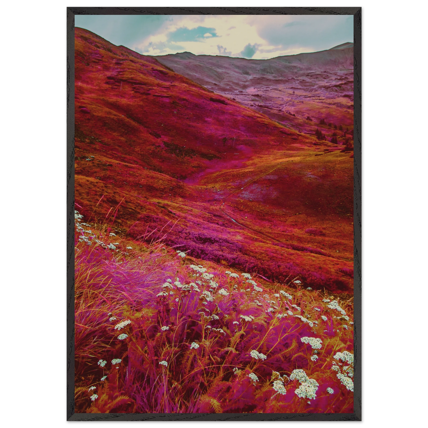 bb614115-60a2-46c0-aca9-854a76db7639
