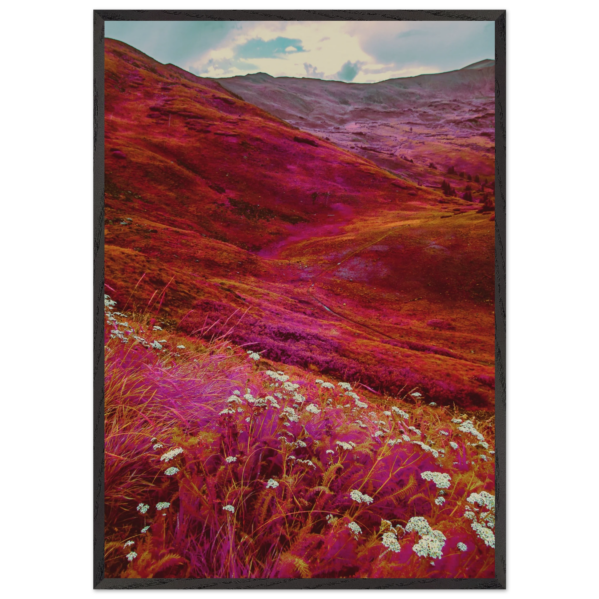 bb614115-60a2-46c0-aca9-854a76db7639
