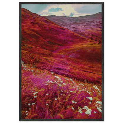 bb614115-60a2-46c0-aca9-854a76db7639