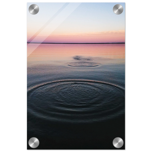 c047c04e-a442-4956-b4aa-1641b15cd734