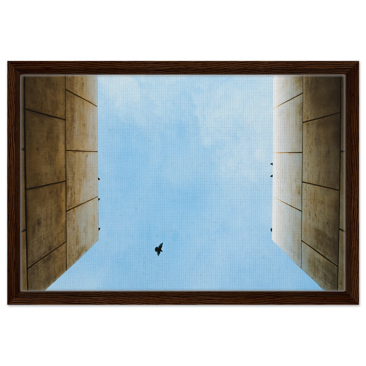 c16db859-7551-4aeb-b01c-e5905e20c932