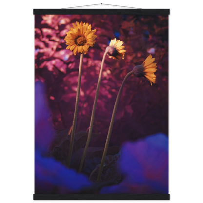 cc1806f3-b24b-4017-a6a3-980b8ac27f0e