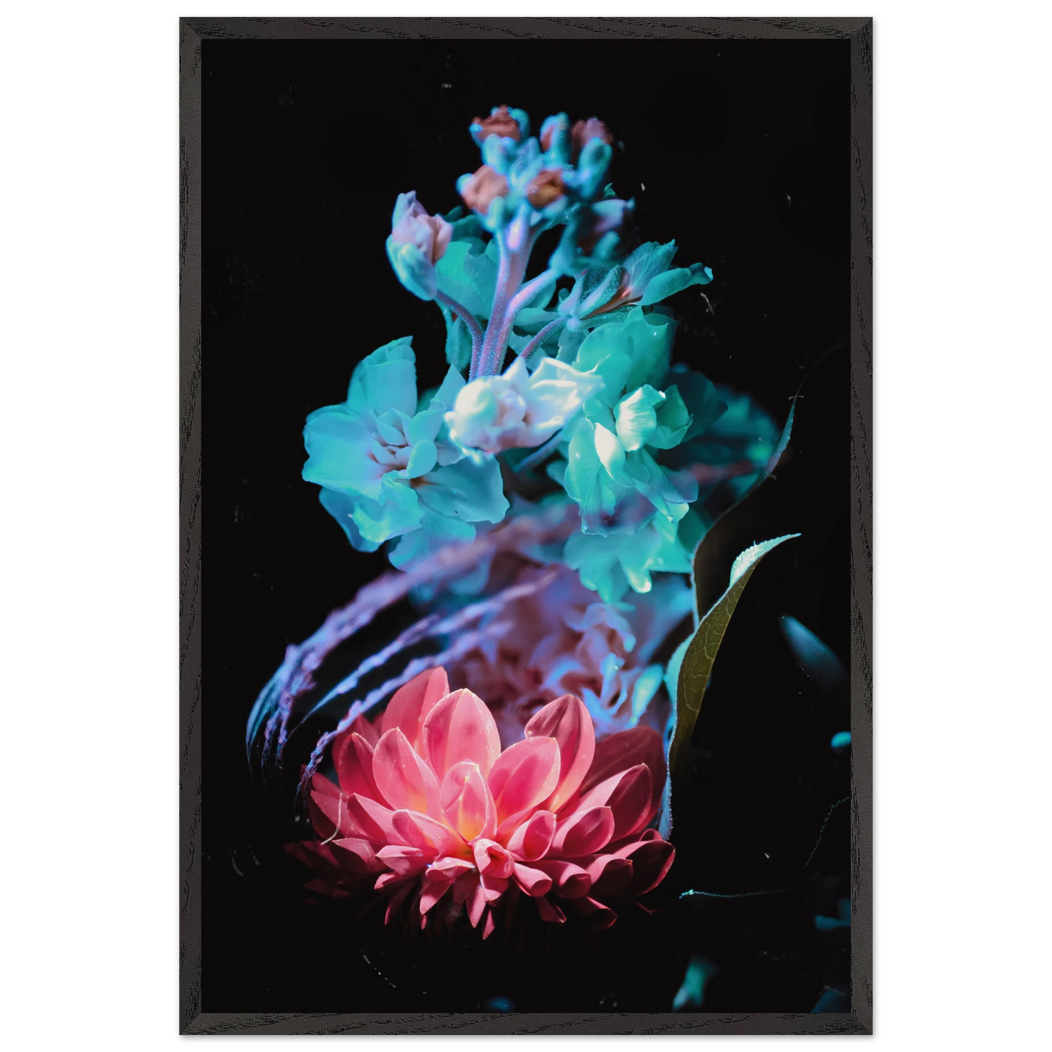 d072327c-5db1-4fa6-80aa-6e56e8090ba5