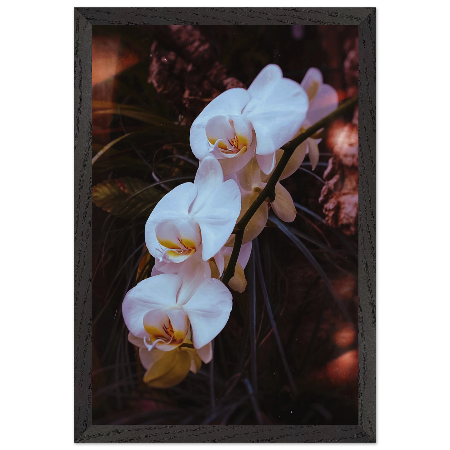 d1463244-79ed-47cb-8833-f7b4633a025d
