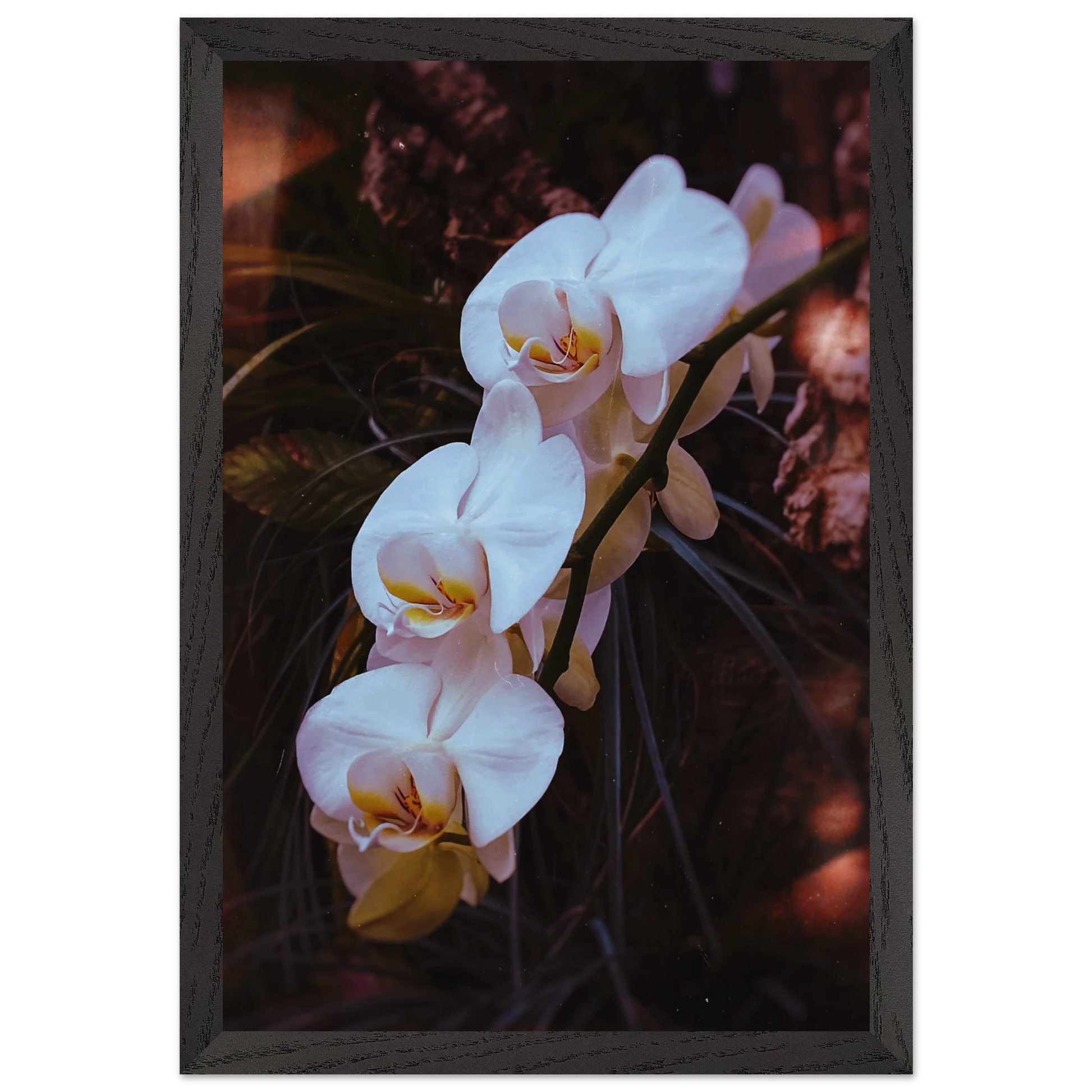 d1463244-79ed-47cb-8833-f7b4633a025d