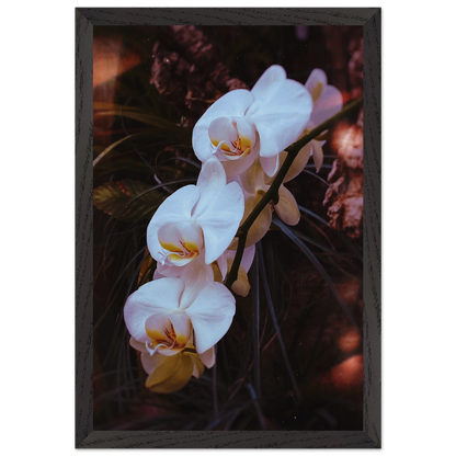 d1463244-79ed-47cb-8833-f7b4633a025d