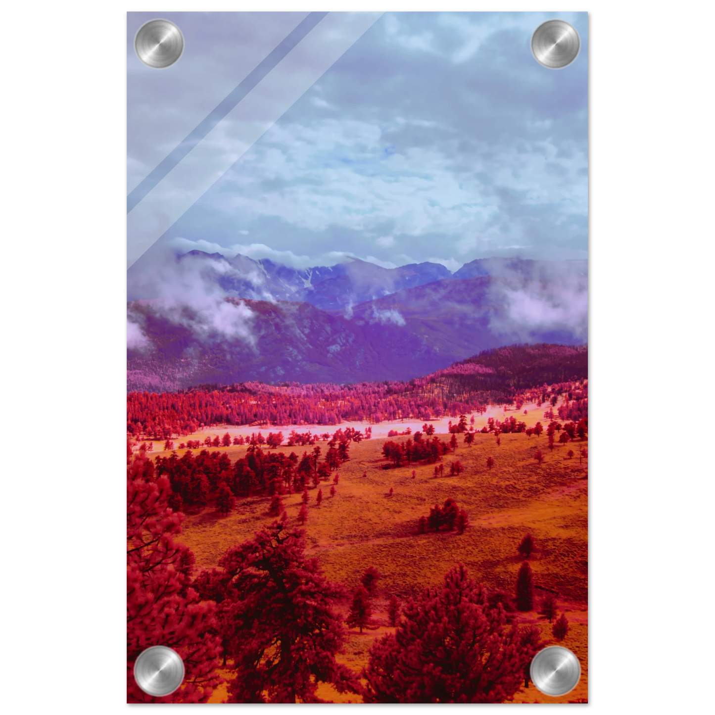 d4e9aebd-2887-4663-bd44-a9cdc16a0357