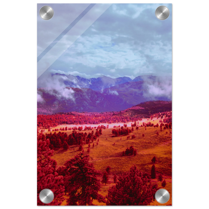 d4e9aebd-2887-4663-bd44-a9cdc16a0357
