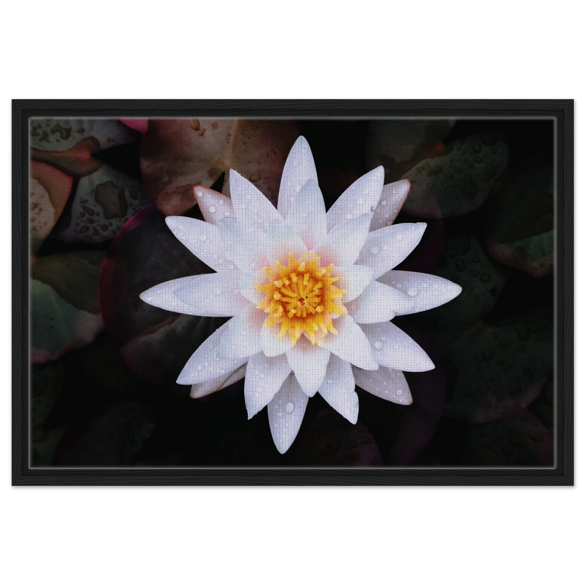 d51c7b92-f302-482b-a2fc-d60cdec2ff67