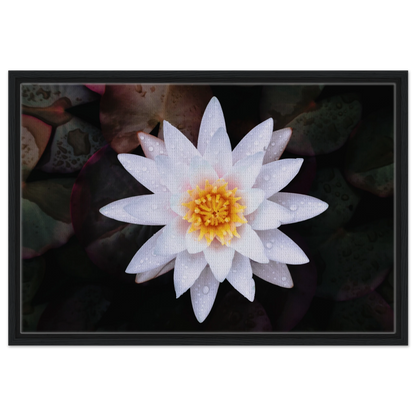 d51c7b92-f302-482b-a2fc-d60cdec2ff67