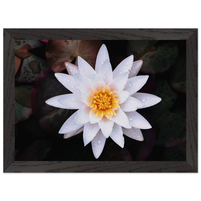 dbf9e1de-f168-4ca5-9ad8-c570f1e3c7a0
