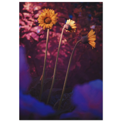 dde50831-1c18-4969-bb06-674744ad782f