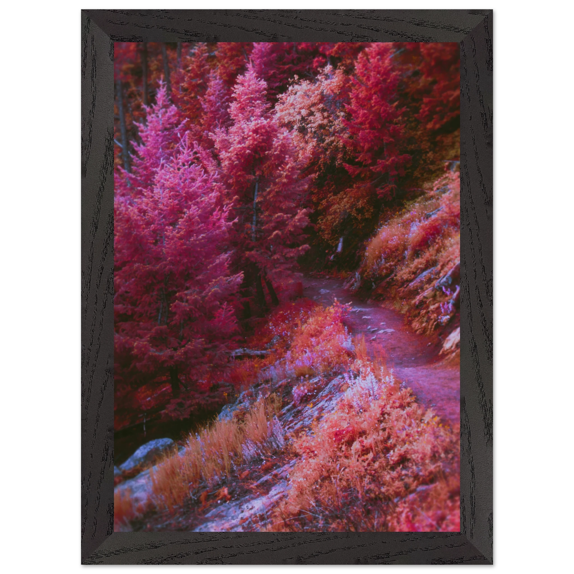 e7982437-dd59-4b76-8f83-1addbe490f6f