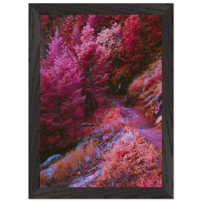 e7982437-dd59-4b76-8f83-1addbe490f6f