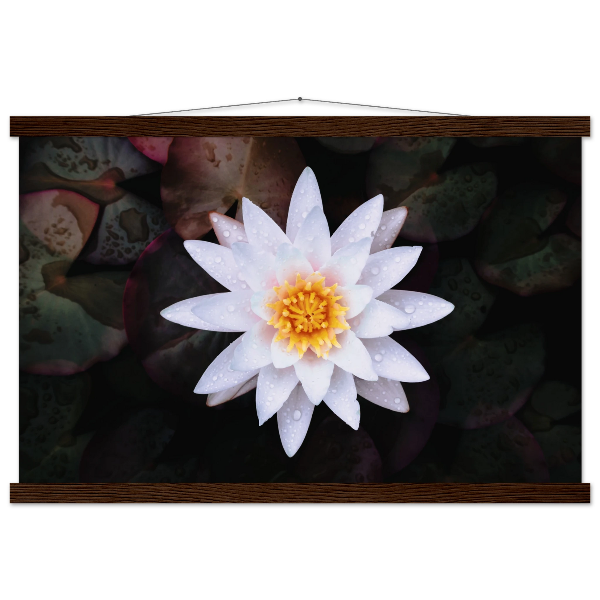 eb05f599-10fa-4098-8e20-8ee552948cf8