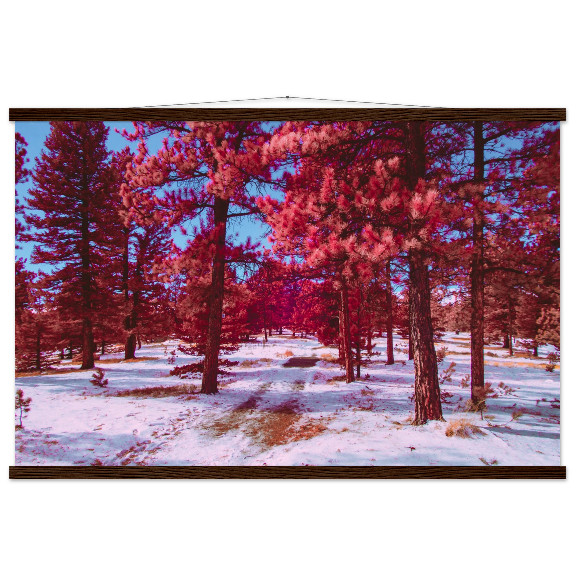 ebb95934-1e27-4819-825b-b6521f03ed51