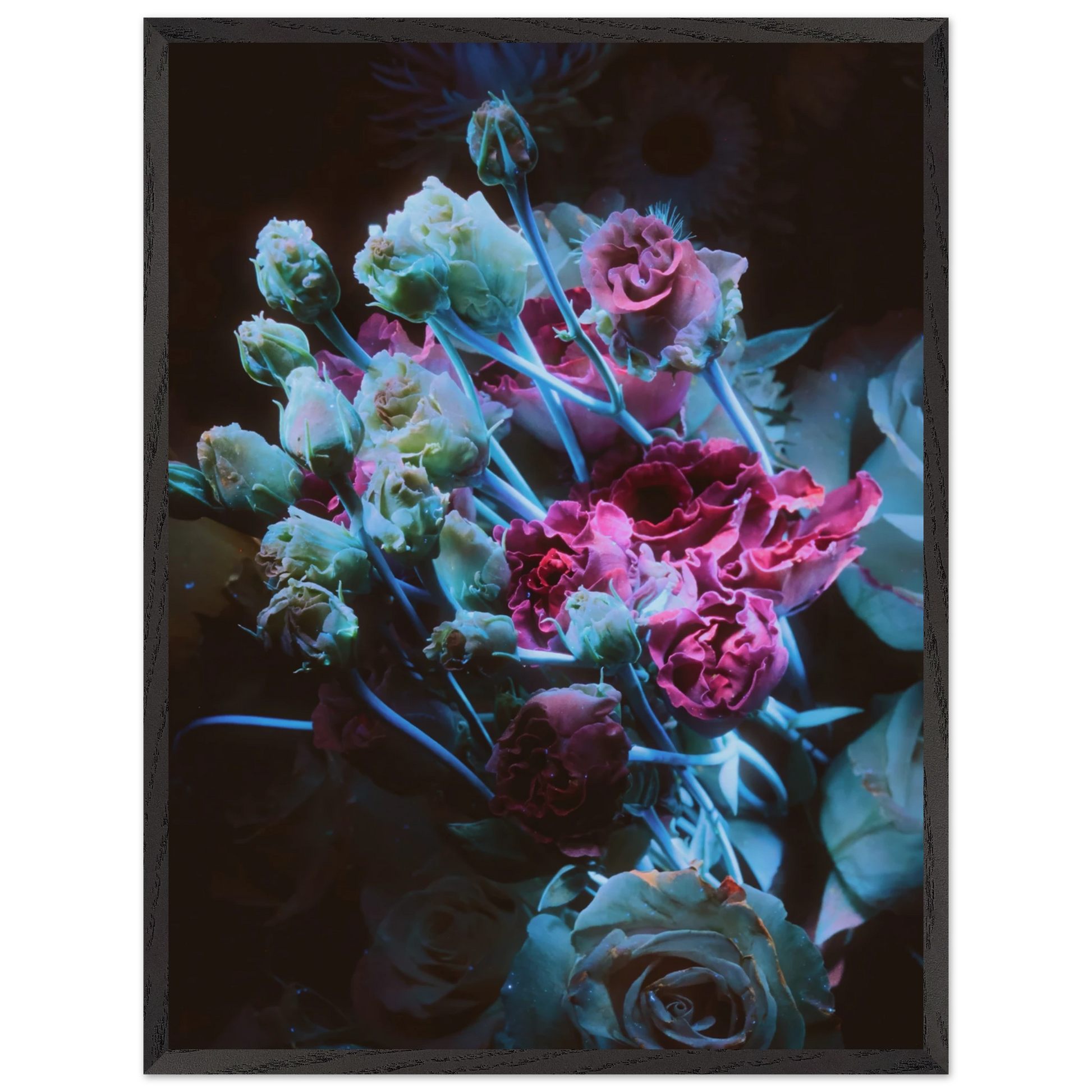 ed048d62-58b4-4e70-ac52-5c2a9a0207b9