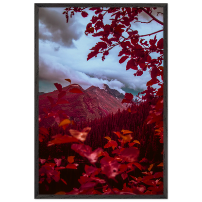 ed3d6529-6b2f-4cc8-999e-7c27ceaaf6e2