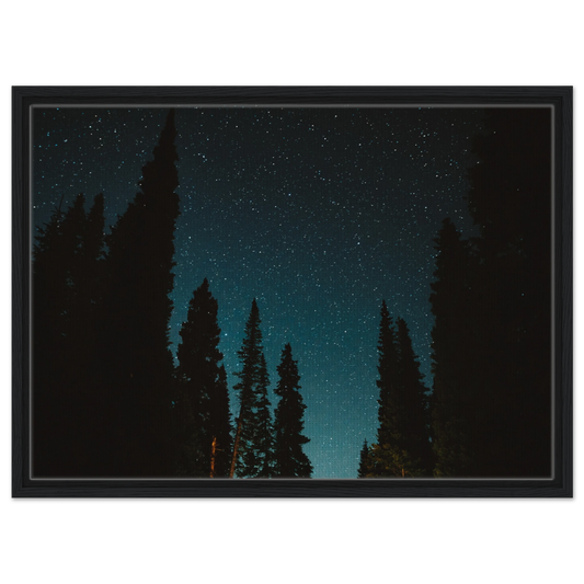 ef5e29af-1faf-4e8d-b003-93964e2b67e3