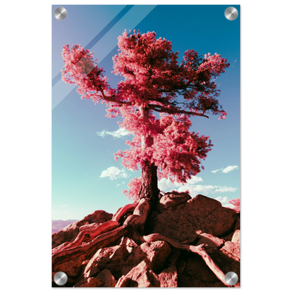 f3649d00-29da-4dbf-8929-041e77a9fe67