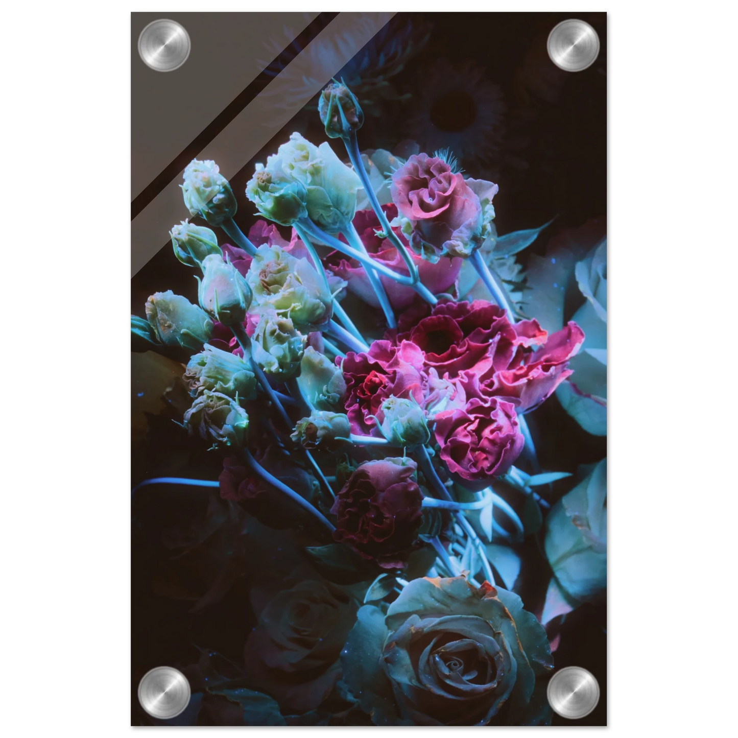 fb82dcaa-b5f0-4d05-907a-bae9b6b65071