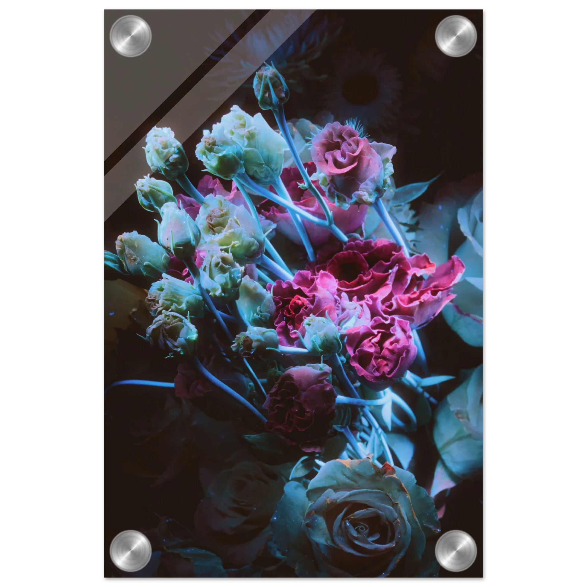 fb82dcaa-b5f0-4d05-907a-bae9b6b65071