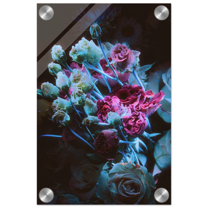 fb82dcaa-b5f0-4d05-907a-bae9b6b65071