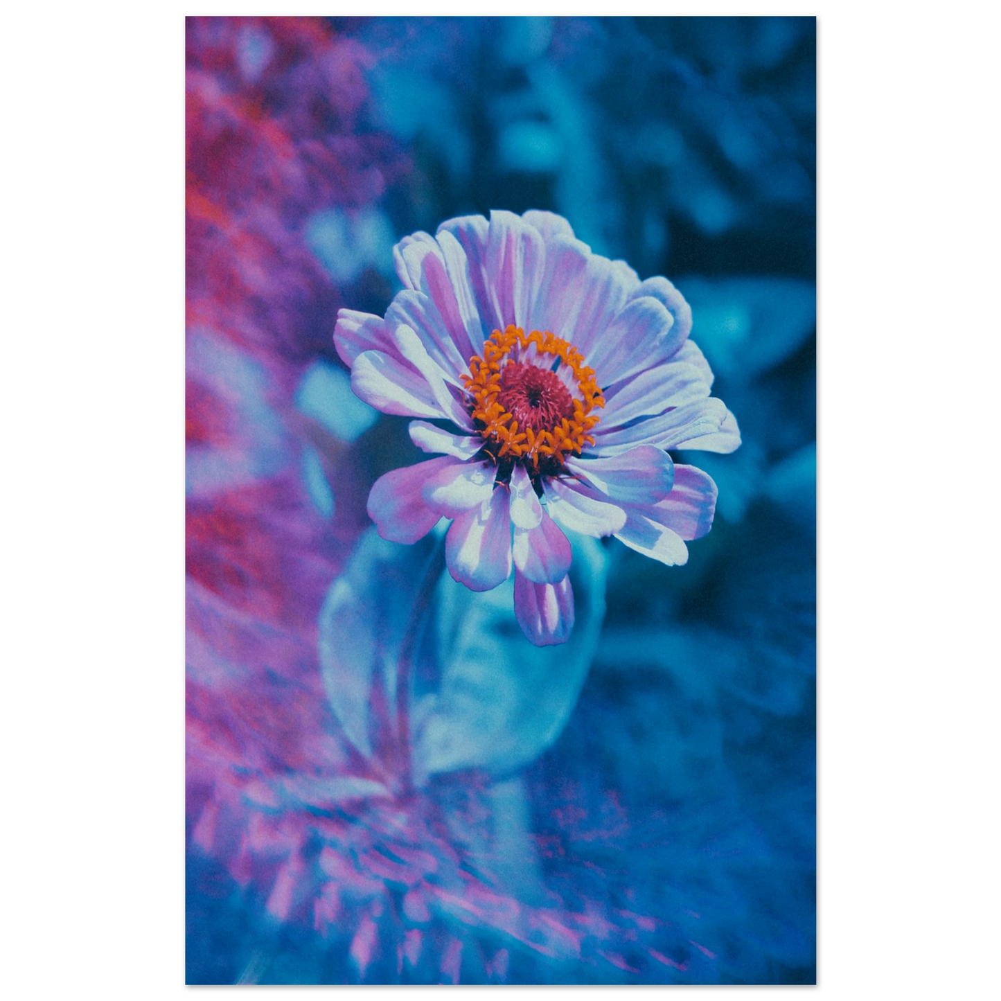 fc797747-d718-4d1e-a66b-0a3a752d1004