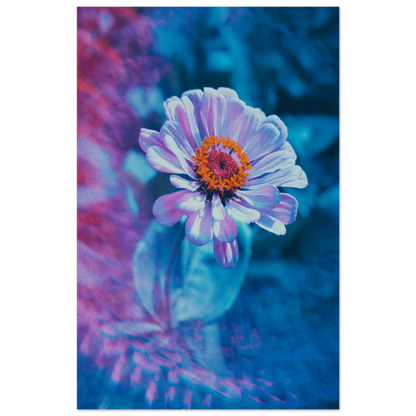 fc797747-d718-4d1e-a66b-0a3a752d1004