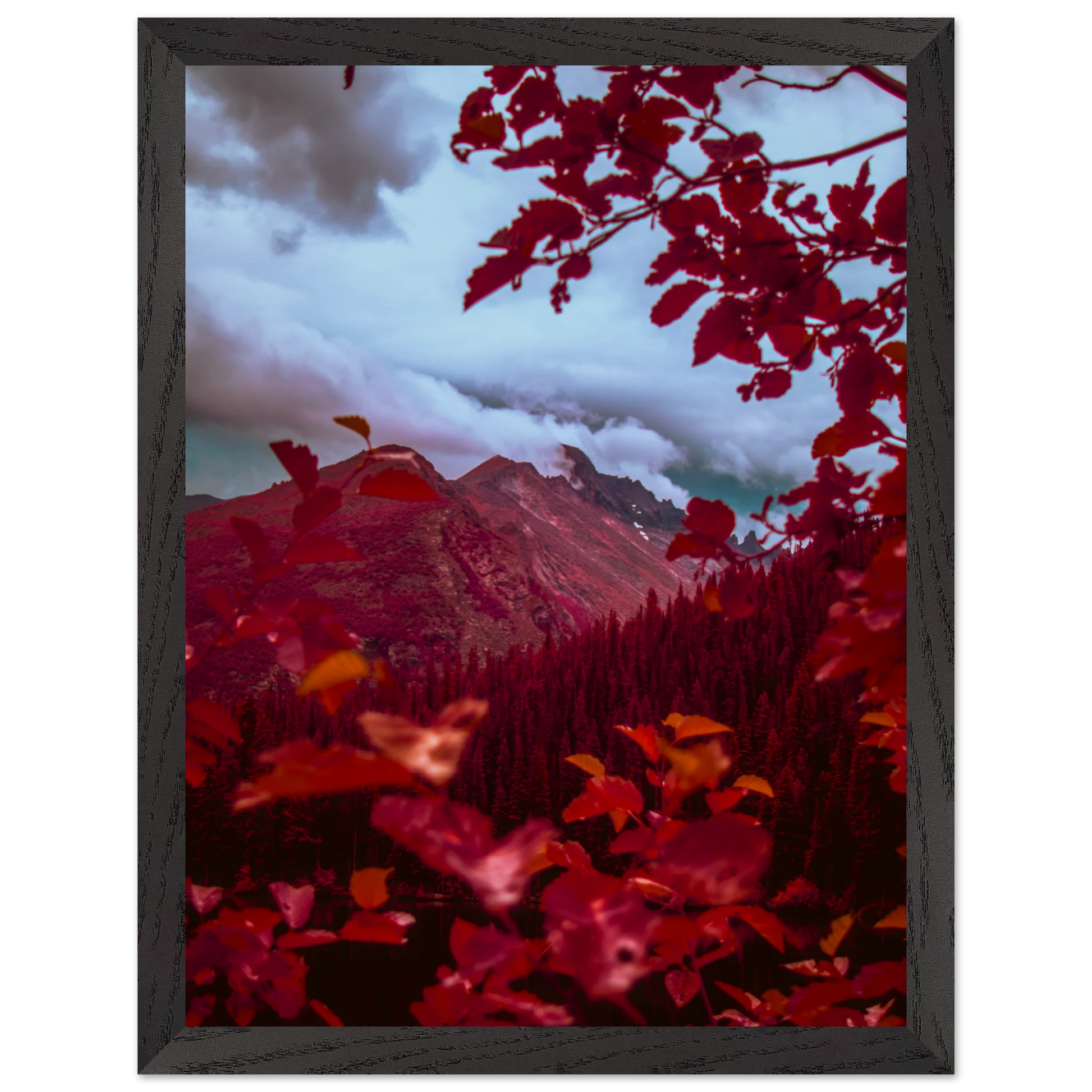 feb3d36f-c9be-4060-ba58-1a91108f189c
