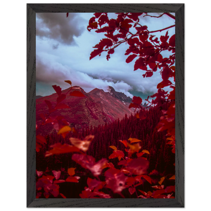 feb3d36f-c9be-4060-ba58-1a91108f189c