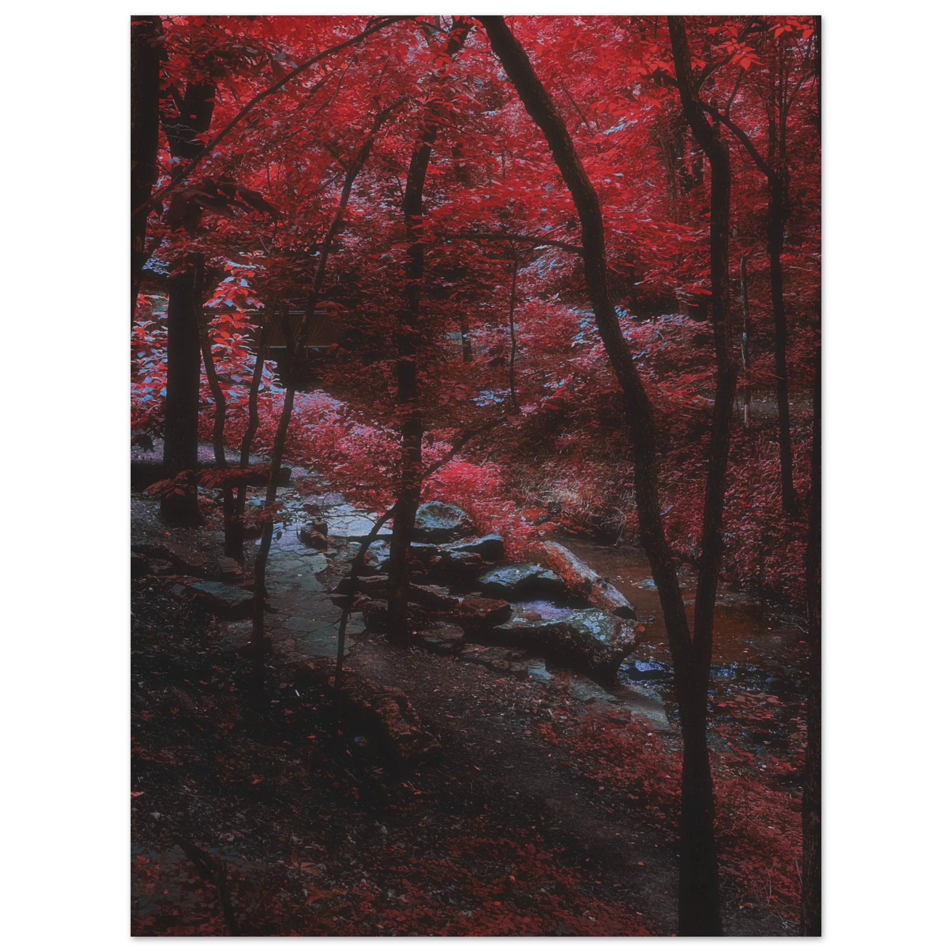 ffad6484-3d52-4ca4-a483-1efad8ff6a6b
